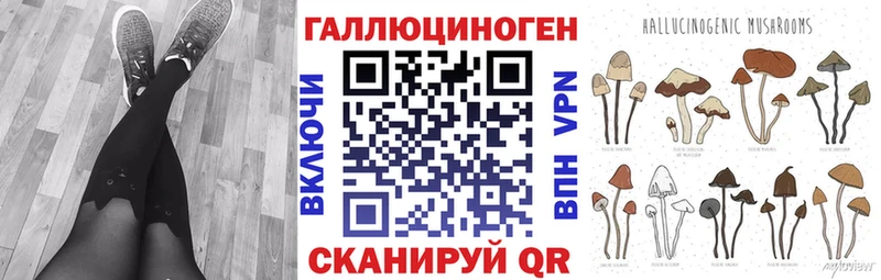 Купить  Завитинск  Псилоцибиновые грибы GOLDEN TEACHER 